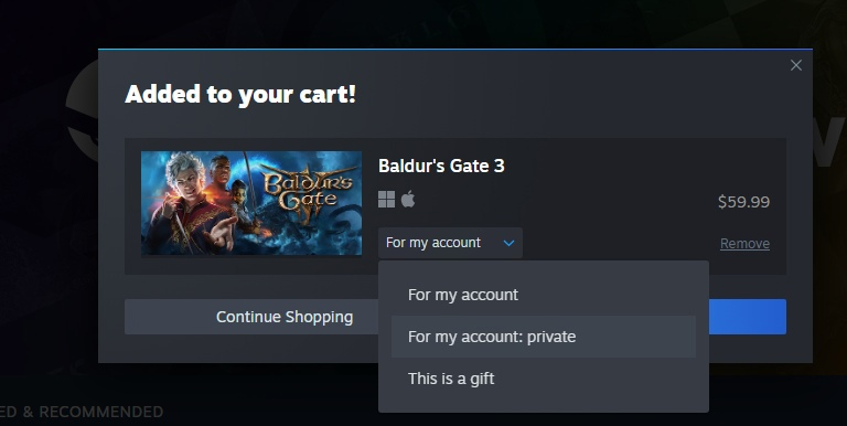 SteamDB: Valve is preparing a new shopping cart with the ability to hide purchases and record game clips in the Steam client